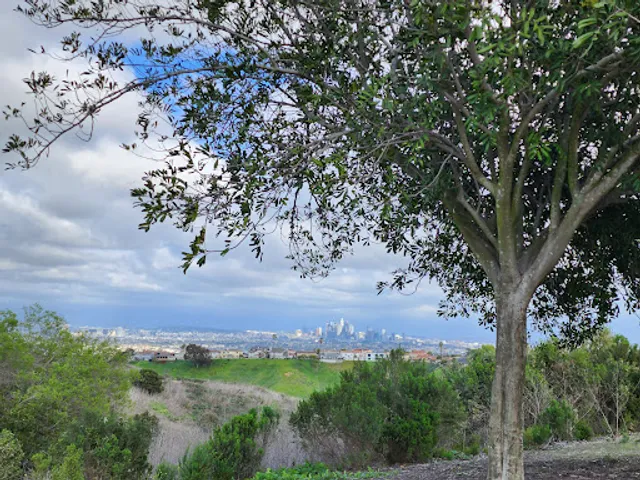 Kenneth Hahn Hummingbird Garden