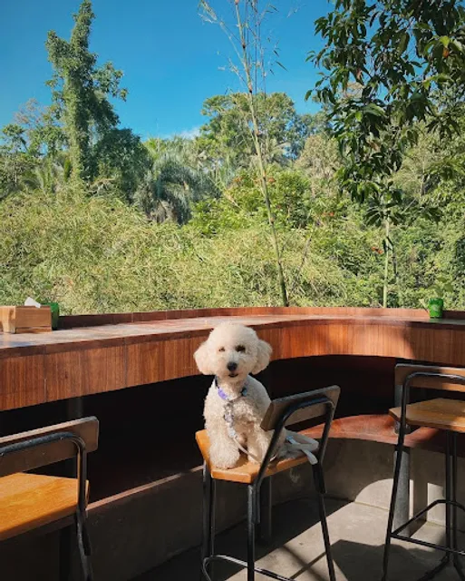 WYAH UBUD Art & Creative Space