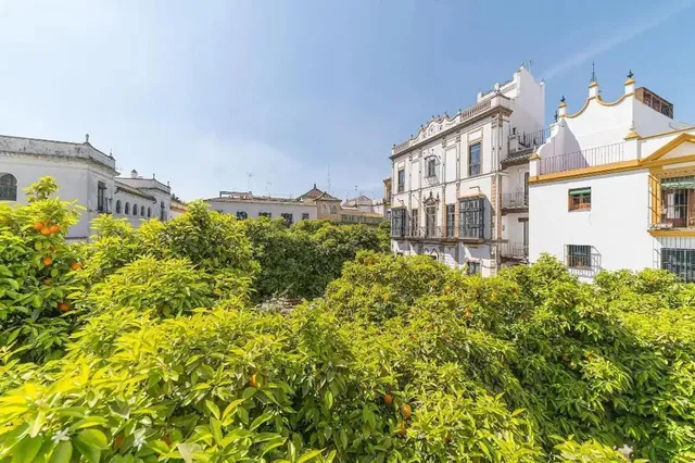 Rey Don Pedro Luxury Home