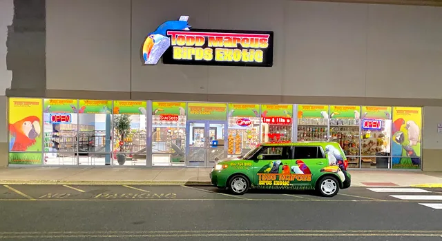 Todd Marcus Birds Exotic