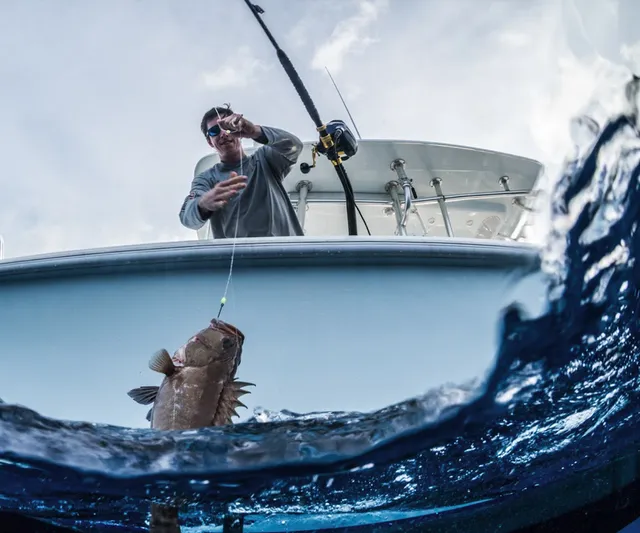 Max Marine Electronics