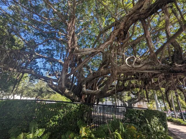 Washington Dog Park & Annex