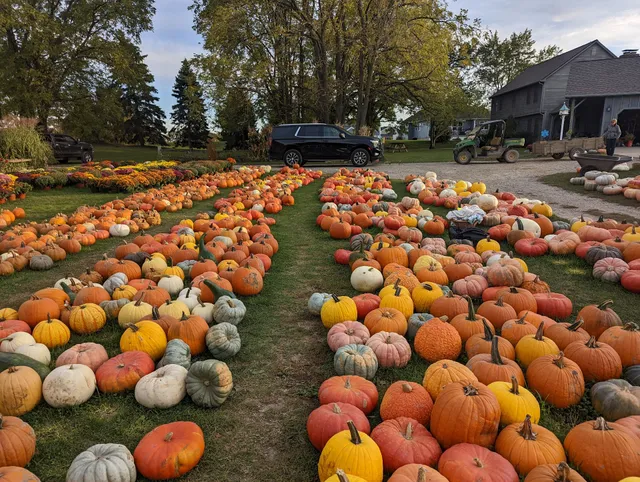 Starrs Lakeview Farms
