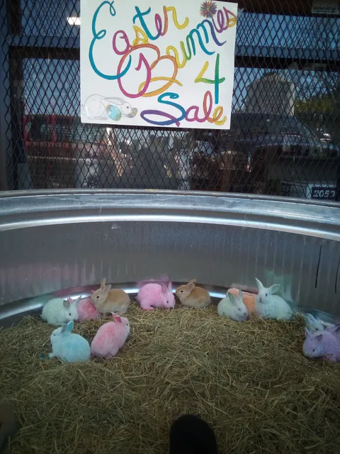 Daniel Feed & Farm Supply