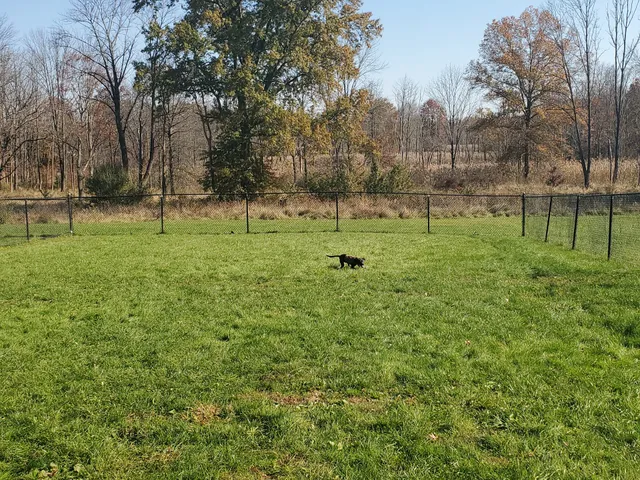 Cameron Dog Park