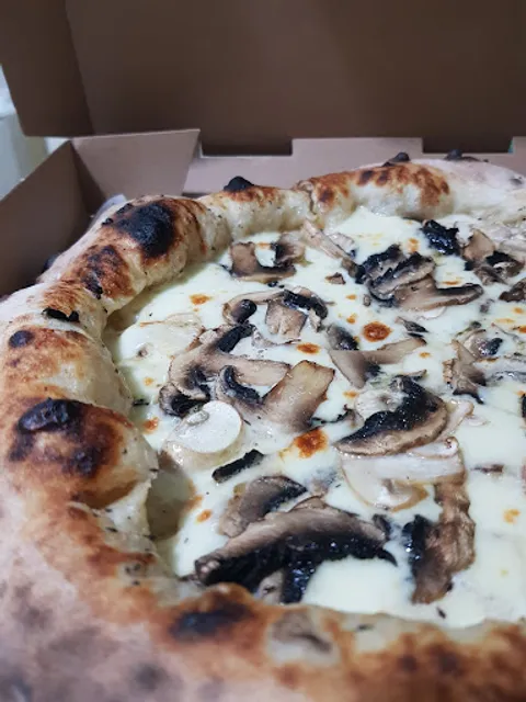 𝙳𝙴𝙻𝙸𝚉𝙸𝙾𝚂𝙾 • 𝚂𝚄𝚁𝙰𝙱𝙰𝚈𝙰