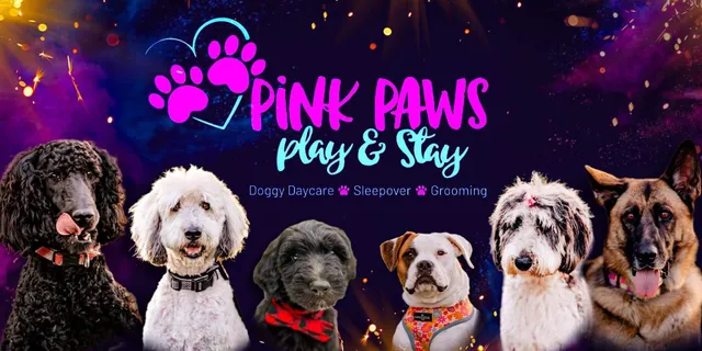 Pink Paws Play and Stay LLC