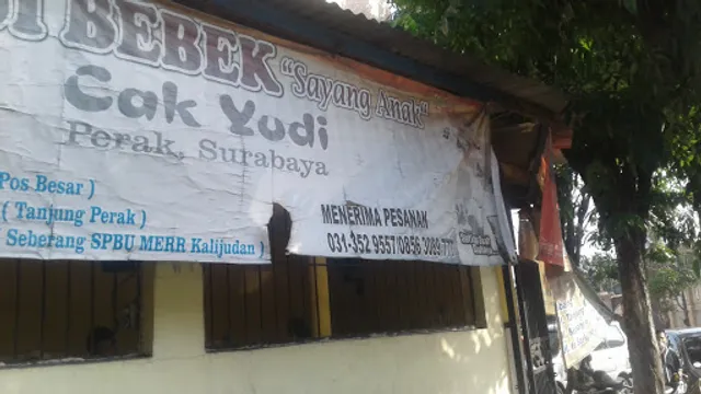 Nasi Bebek Goreng Sayang Anak Cak Yudi (Pusat)