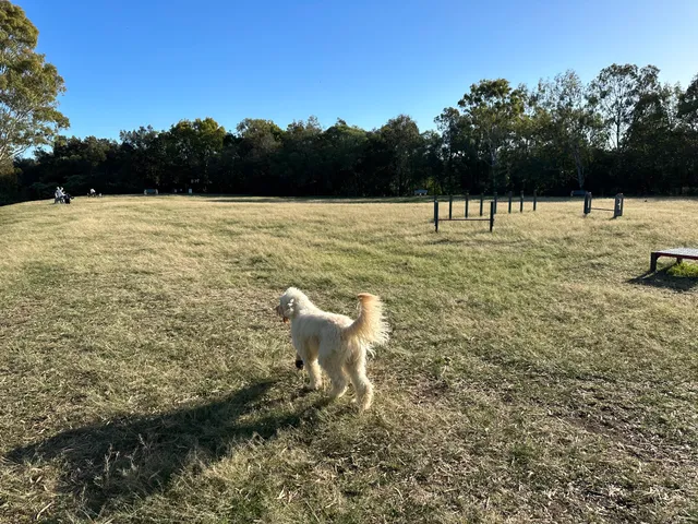 Elanora Park Fenced Dog Park