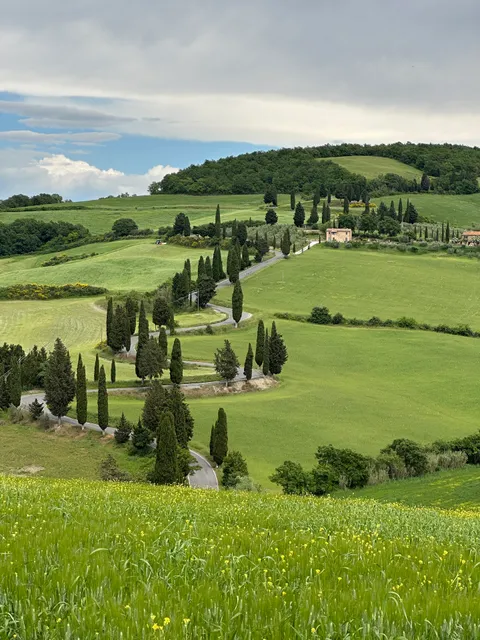 Punto Panoramico cipressi monticchiello