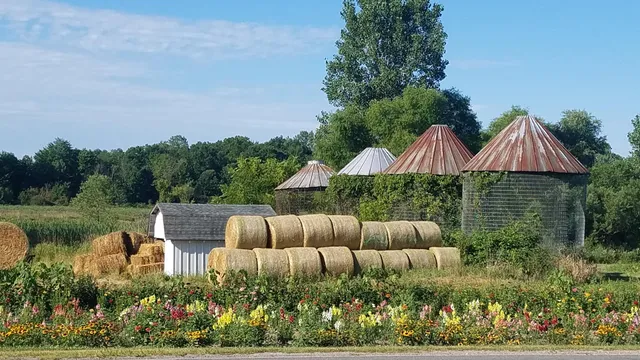 Curtis Farm Market