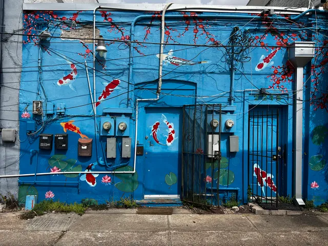 Kimmy's Boutique - Postoffice Street