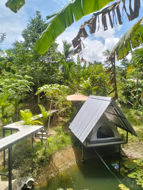 บ้านเล็กในป่าใหญ่โฮมสเตย์ at กงหรา พัทลุง