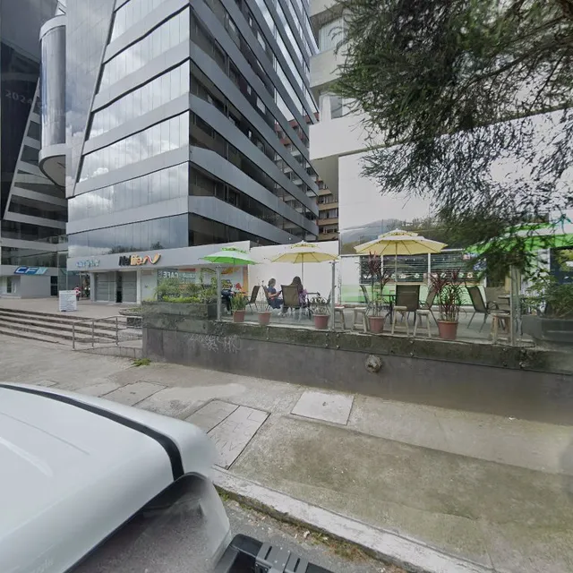 World Ecuador Carolina