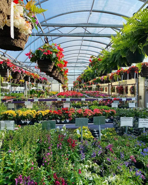 Miller Flowers Greenhouse & Garden Center