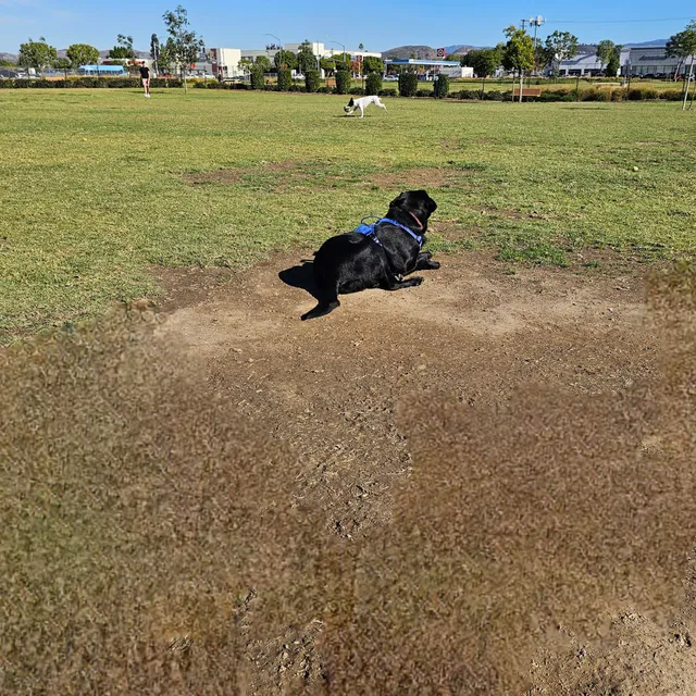 Orange Dog Park Restroom