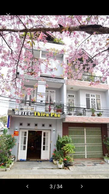 Thien Phu Guesthouse Dalat