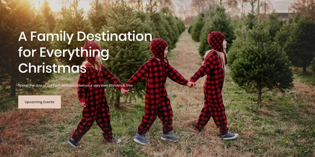 Santa's Christmas Tree Farm LI