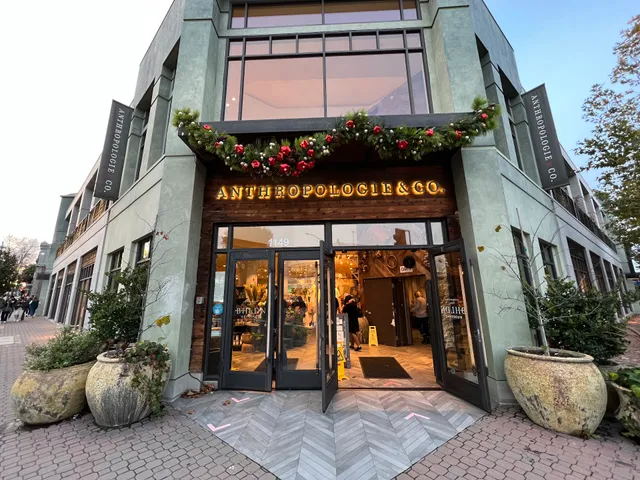 Anthropologie