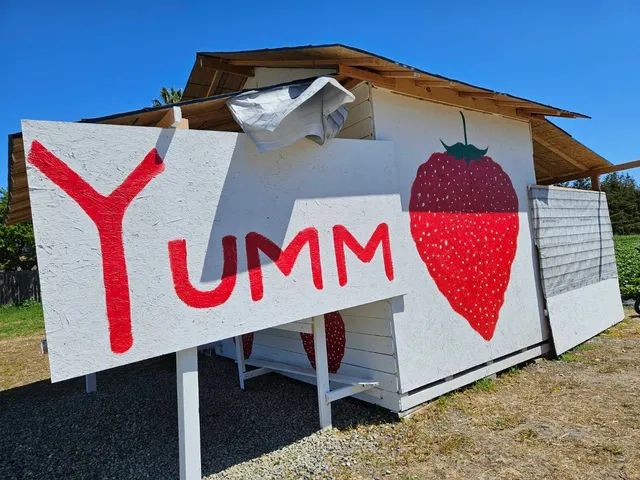 Yumm Strawberry West Sacramento