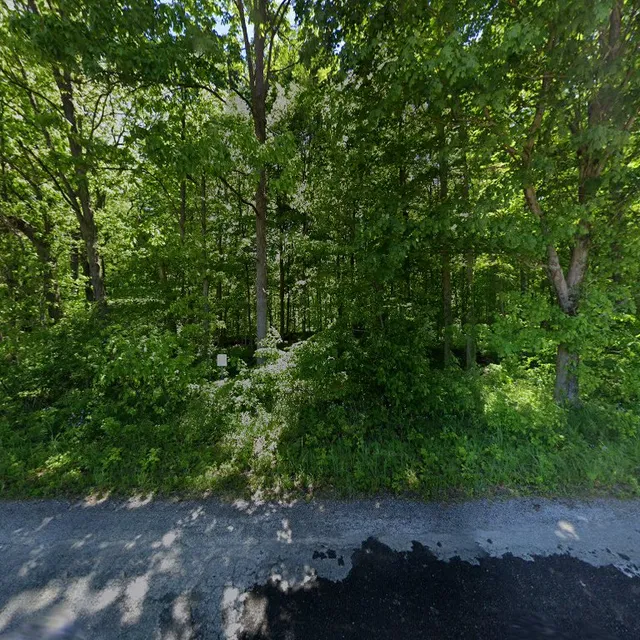 Calvert and Porter Woods