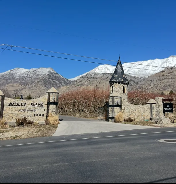 The Castle at Wadley Farms