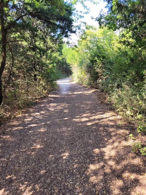 Escarpment Road Trail