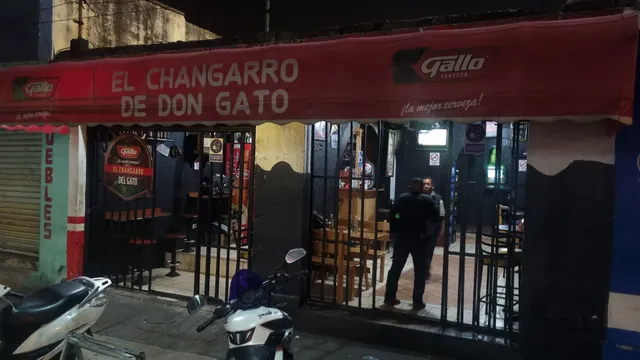 EL CHANGARRO DE DON GATO