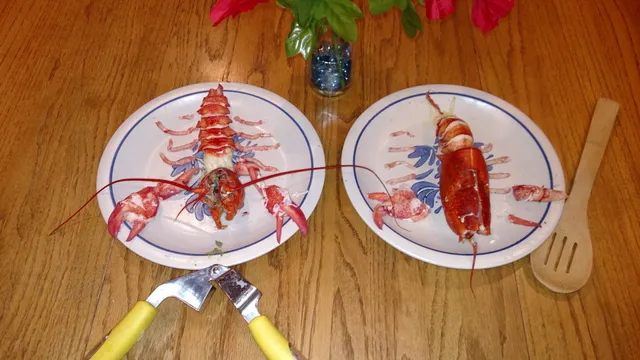 Windsor Recreation Department