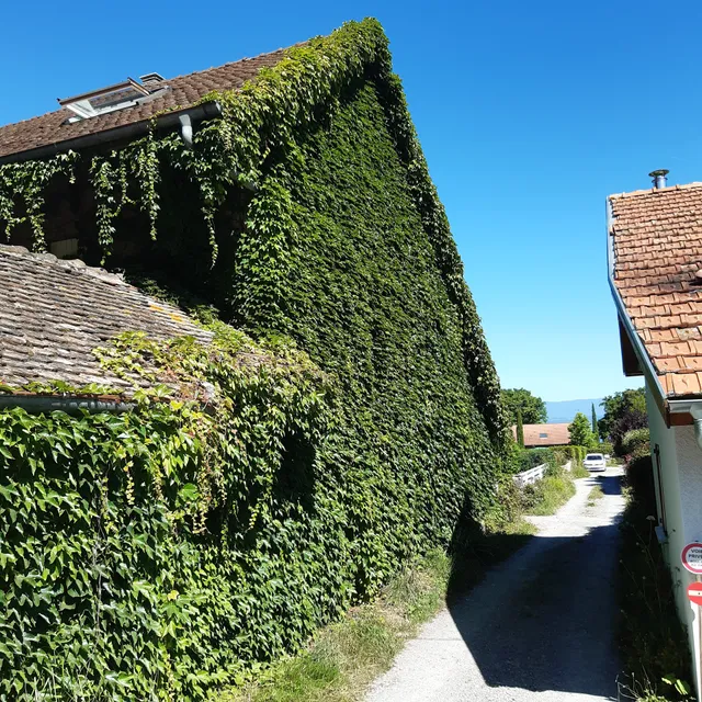 Villa plage Chantrell