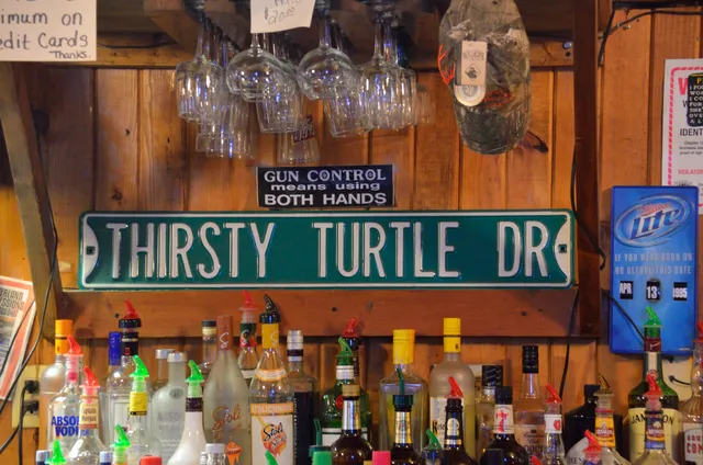 Thirsty Turtle