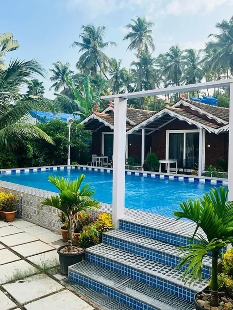 Golden Rice Serenity