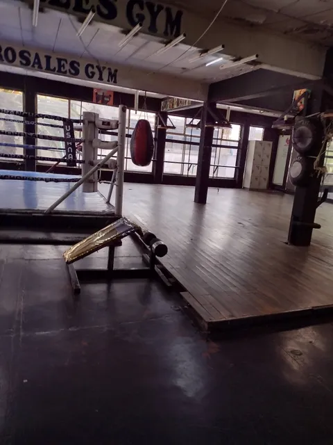 Pancho Rosales gym box