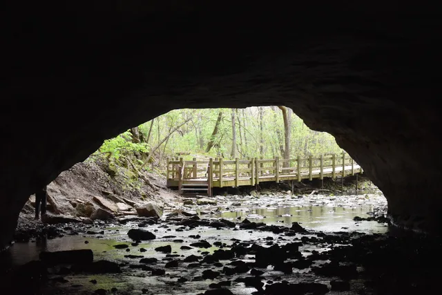 Rock Bridge Memorial State Park