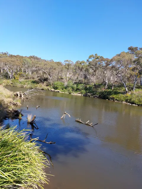 Berrima Reserve