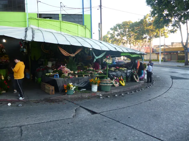 Mercado Sur 2