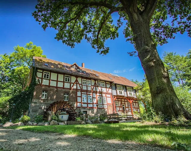 Hohlebach Mühle Homberg