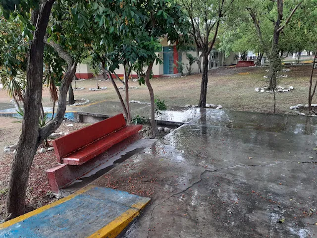 Cafeteria Aguilas Reales