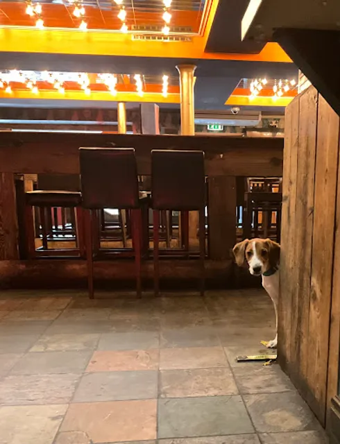 The Howlin' Wolf: Bar, Kitchen, Juke Joint