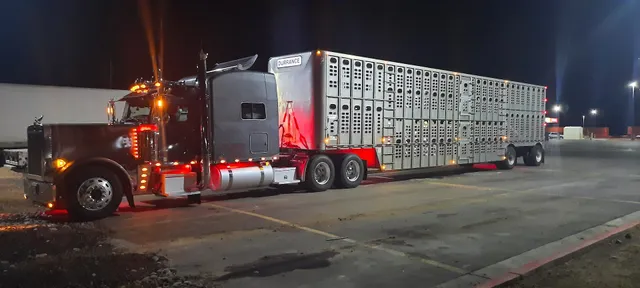 Southeast Miss Livestock