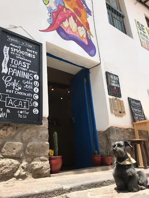 L'apéro - Raclette Andina