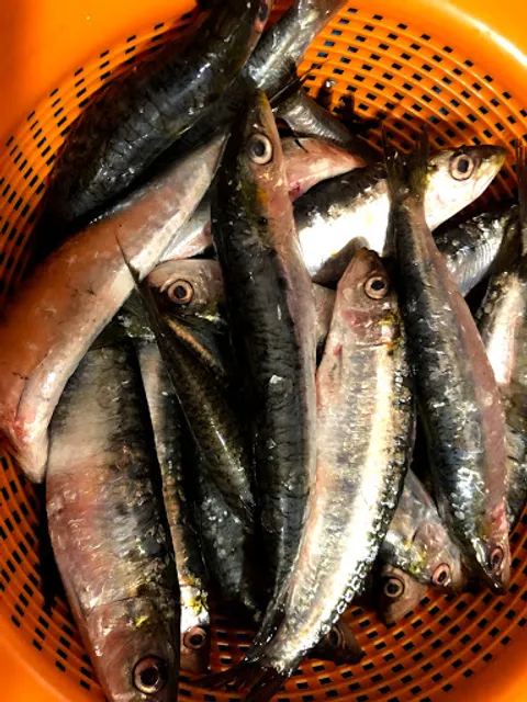 PIZZERÍA LOS ESTUDIANTES