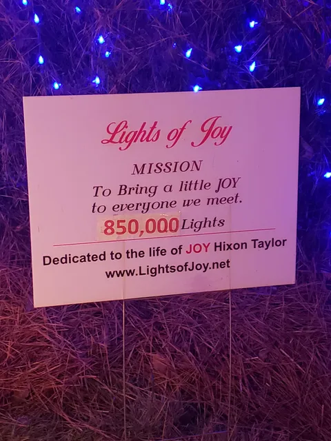 Lights of Joy