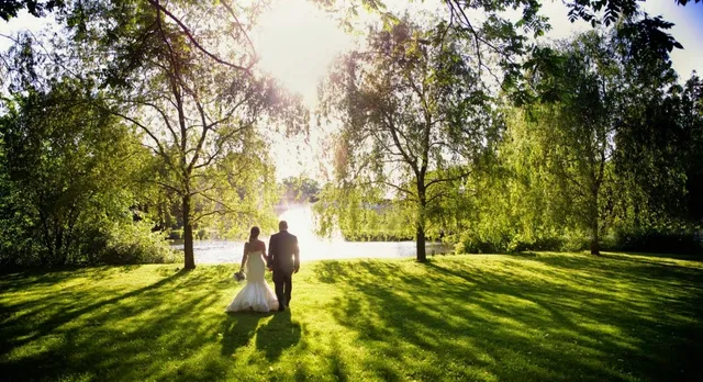 Flowerfield Celebrations