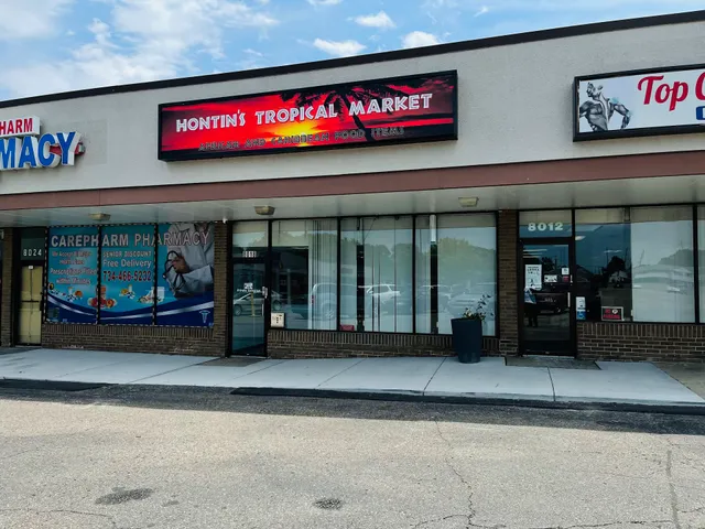 Hontins tropical market, llc