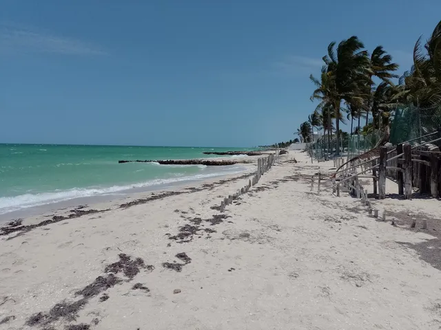 Playa Chuburna Puerto