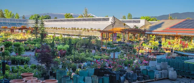 Caras Nursery and Landscape