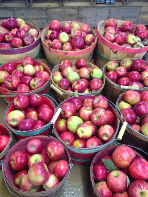 Aaron Family Orchards