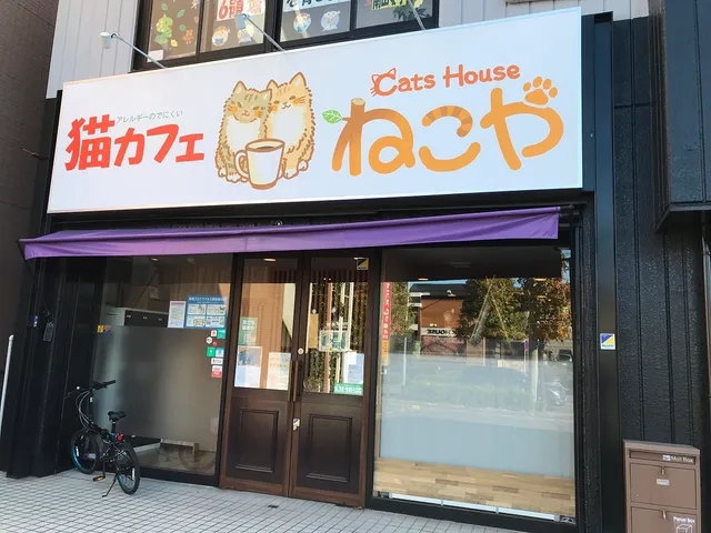 Cats House Nekoya