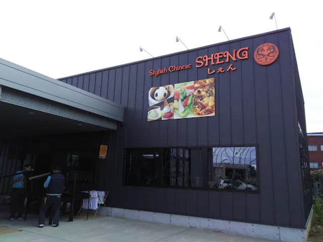 Stylish Chinese SHENG